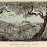 VALLIS LARANJEIRAS VERSUS CATETE, PROPE SEBASTIANOPOLIN.