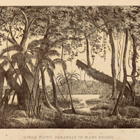 RIPAE FLUVII PARAGUAY IN MATO GROSSO.
