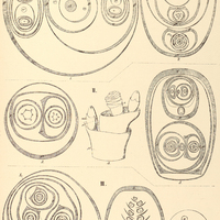 61. I. RAPHIA. II. MAURITIA, III. LEPIDOCARYUM.