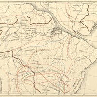 134. Tabula geographica BRASILIAE terrarumque vicinarum distributionem generum Palmarum illustrans.