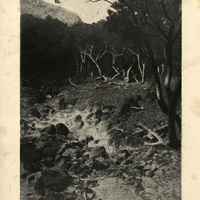 Sources du Galion