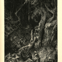 Marche en forêt