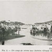 Un coup de senne aux Saintes ( Grand Ilet )