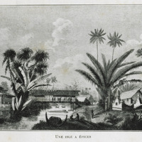 Une isle à Epices
