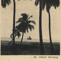 La côte-sous-le-vent à la Martinique