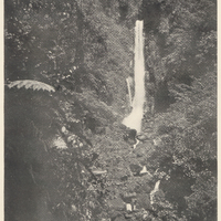 The Lesser Twin Fall upon the Roseau River, Roseau Valley, Dominica