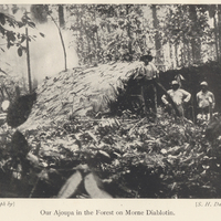 Our Ajoupa in the Forest on Morne Diablotin