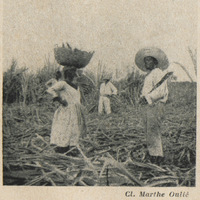 Idylle à Marie-Galante