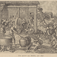 Une sucrerie aux Antilles, vers 1670