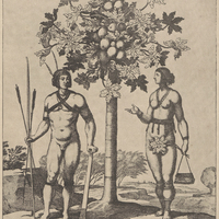 Homme et femme caraïbes. Papayer franc. (Gravure de Le Clerc, XVIIe siècle. Hist[oire] gén[érale]…