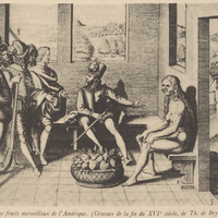 Les fruits merveilleux de l'Amérique. (Gravure de la fin du XVIe siècle, de Th. De Bry.)