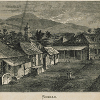 Roseau