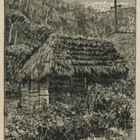 The first camp
