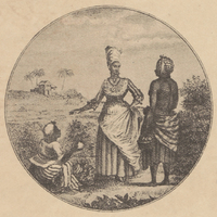 [Vue de la colonie française de Saint-Domingue]