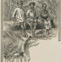Humming-Bird Hunters