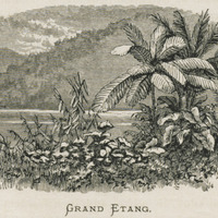 Grand Etang