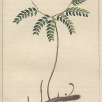 Adiante du canada.