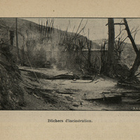 Bûchers d'incinération