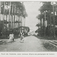 Place des palmistes, allée centrale