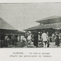 Le coin du marché