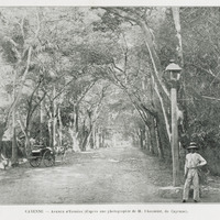 Avenue d'Estrées