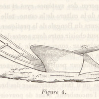Charrue de bois : figure 4