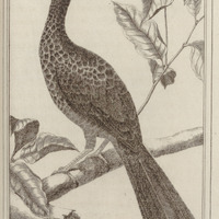 Le Maraye