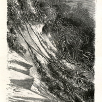 Les arbres suspendus