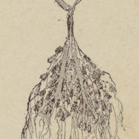 Jarretières