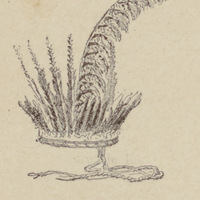 Coiffure de Roucouyenne