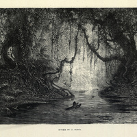 Rivière de la Comté