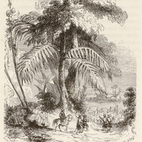 Il arrive à Mélinde sur la côte de Zanguebar