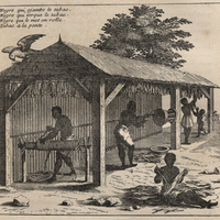 Préparation du tabac