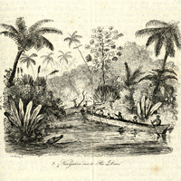 Navigation sur le Rio Doce