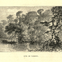 Rive du Yaroupi