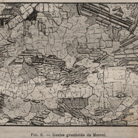 Gneiss granitoïde du Maroni