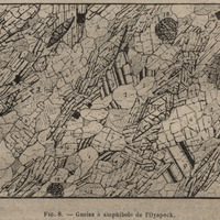 Gneiss à amphibole de l'Oyapock