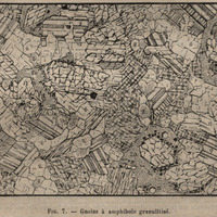 Gneiss à amphibole granulitisé