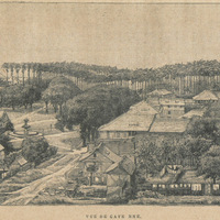 Vue de Cayenne