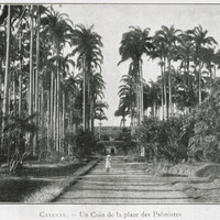 Cayenne. - Un coin de la place des Palmistes