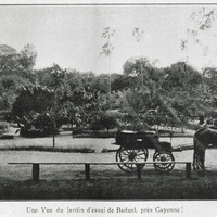 Une vue du jardin d'essaie de Baduel, près Cayenne