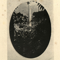 Deuxième chute du grand Carbet vue du haut de la falaise
