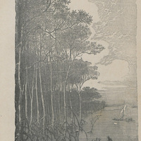La région des lacs