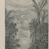 Paysage équatorial