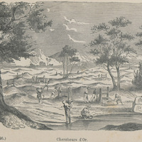 Chercheurs d'or