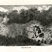 L'épine dans le pied