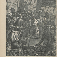 Embarquement des ananas