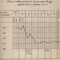 Fièvre inflammatoire au premier degré, appelée fièvre continue