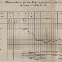 Fièvre inflammatoire au premier degré, appelée fièvre jaune légére en temps d'épidémie