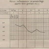 Fièvre inflammatoire au premier degré, appelée fièvre gastrique
